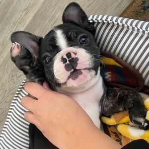 Meet your Posher, Tricia